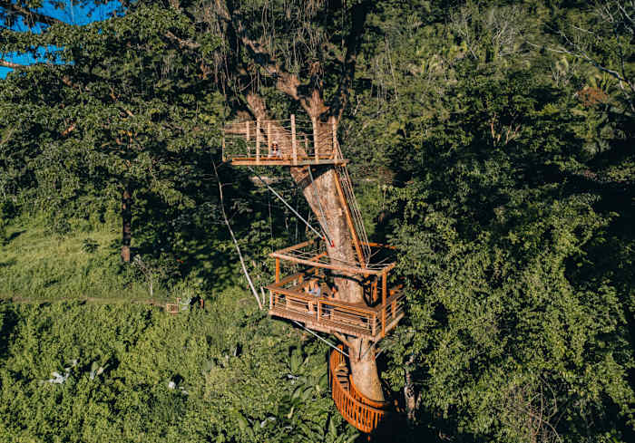 treehouse sleeping giant